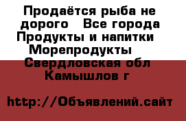 Продаётся рыба не дорого - Все города Продукты и напитки » Морепродукты   . Свердловская обл.,Камышлов г.